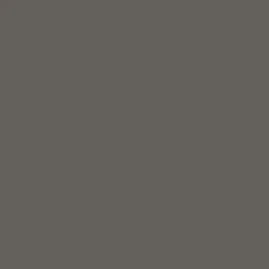 Charcoal Gray
