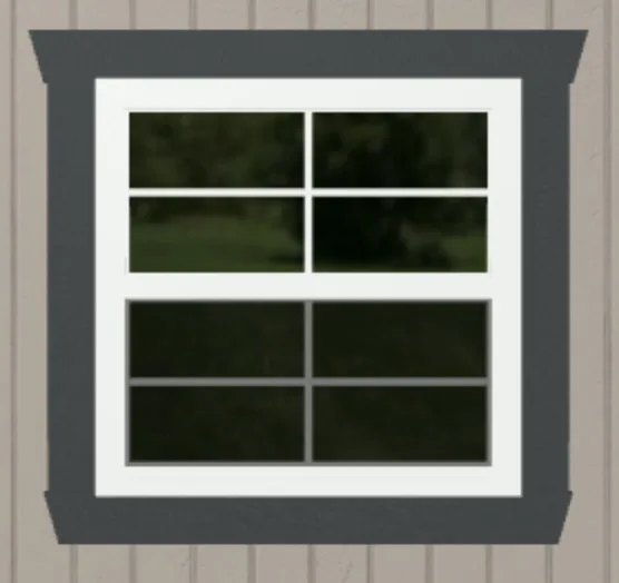 Insulated Windows